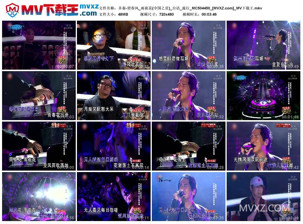 齐秦-望春风_雨夜花(中国之星)_台语_流行_MC504450